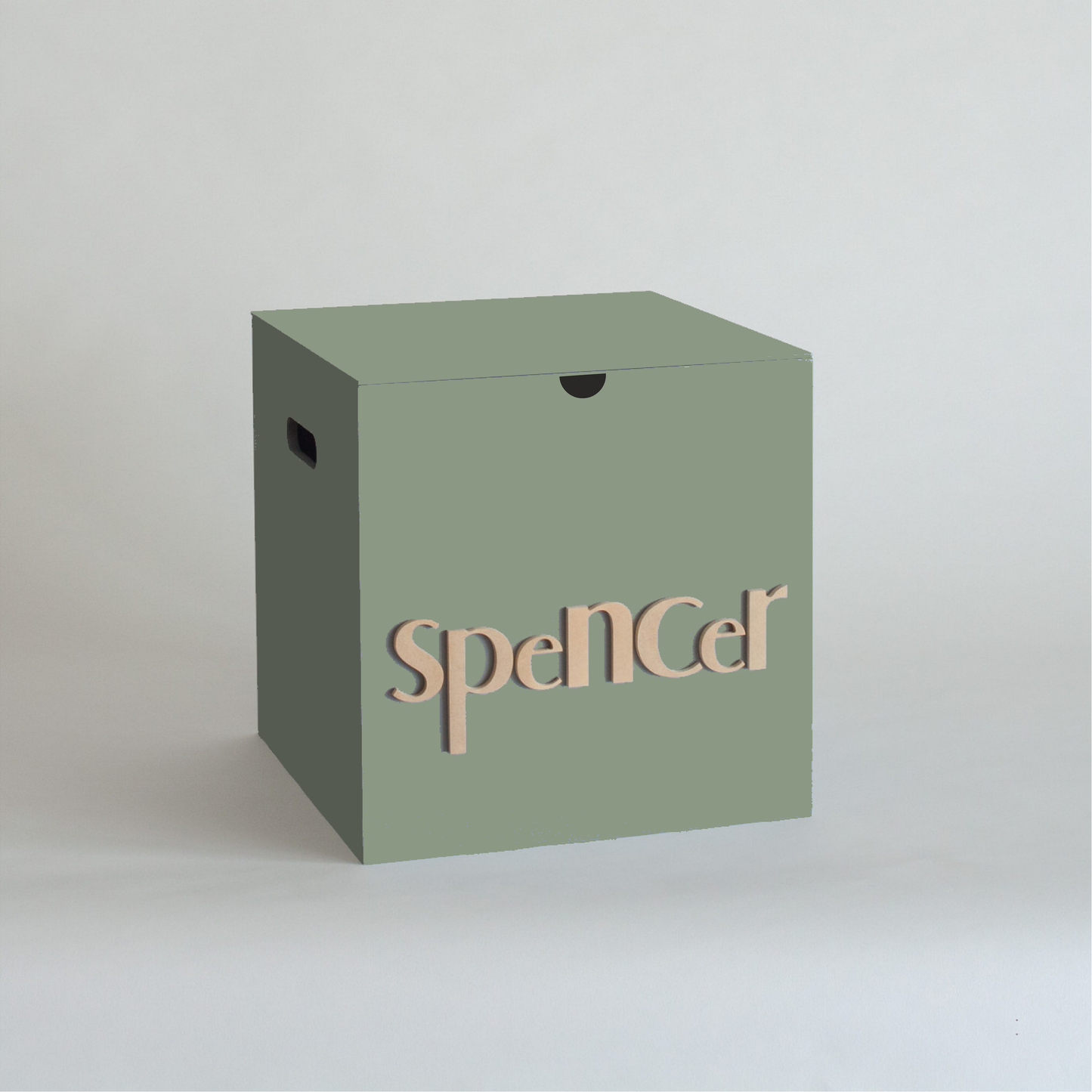 Sage Storage Box