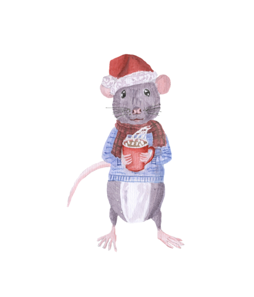 Mouse Christmas Eve Box
