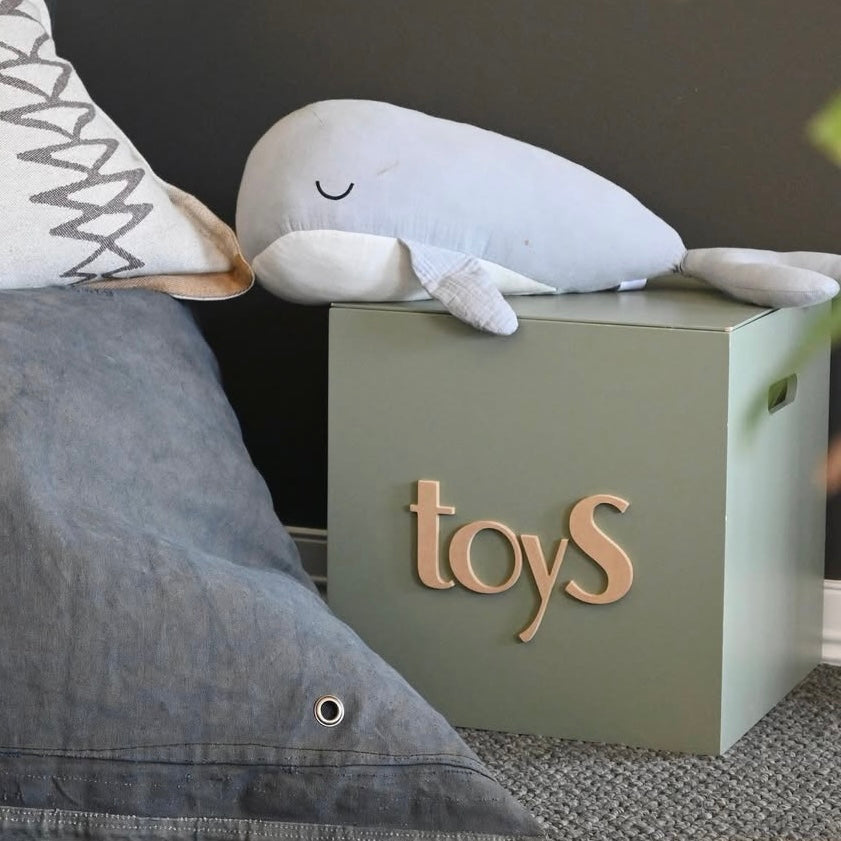 Sage Toy Box
