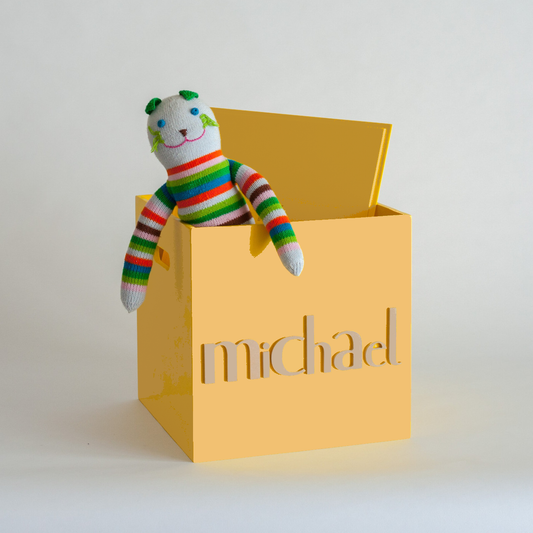 Mustard Toy Box