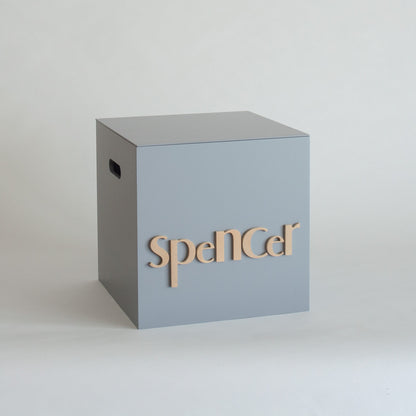 Light Grey Toy Box