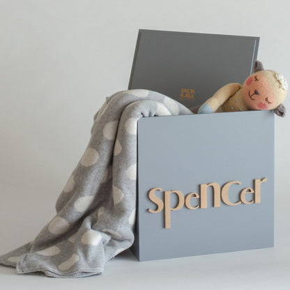 Light Grey Toy Box