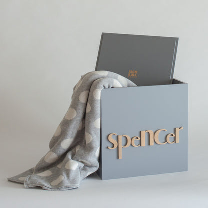 Light Grey Toy Box