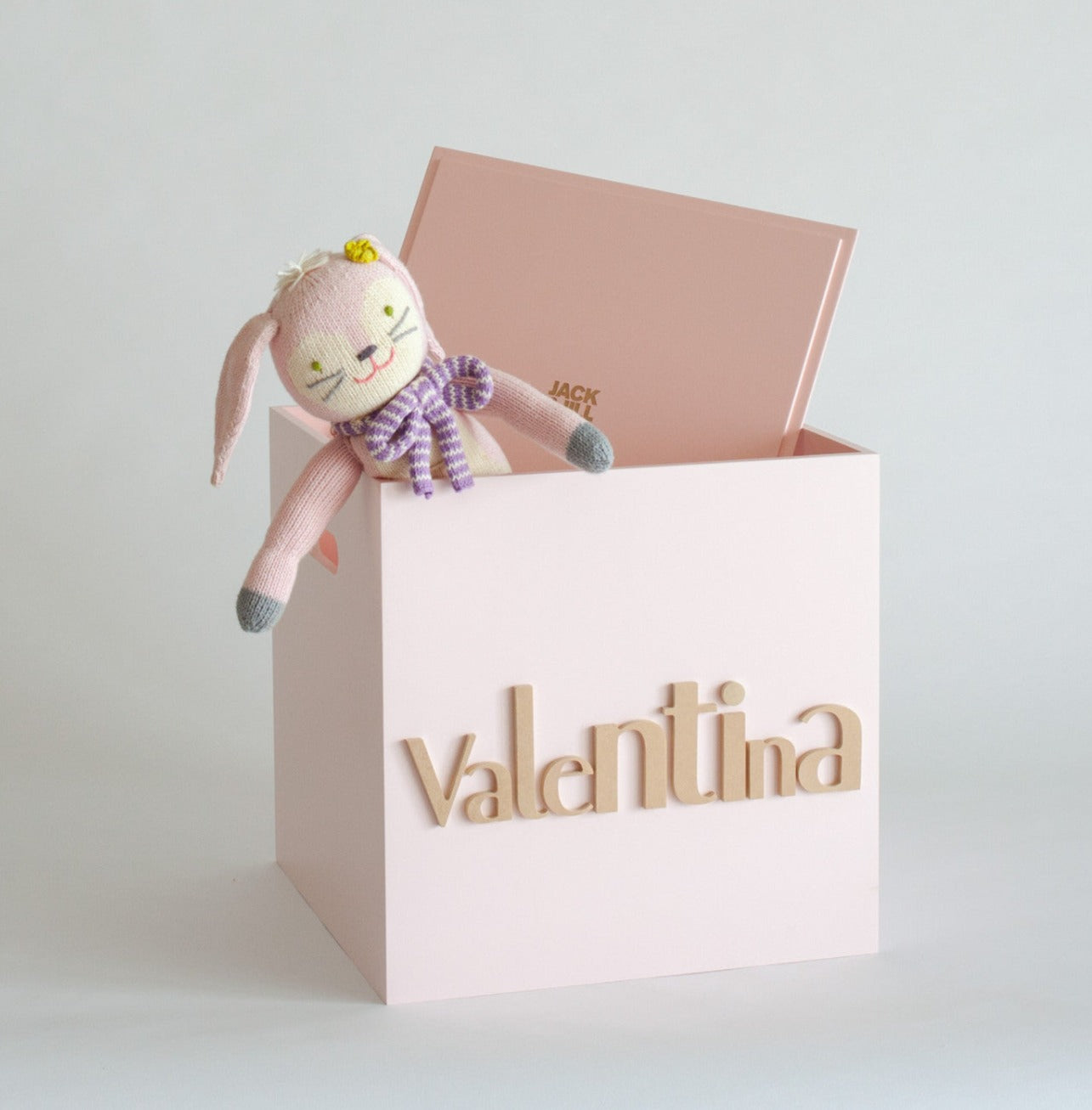 Pale Pink Toy Box