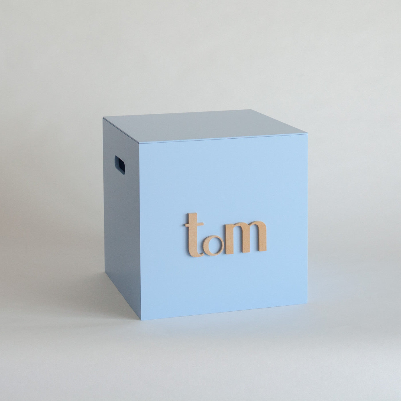 Pale Blue Toy Box