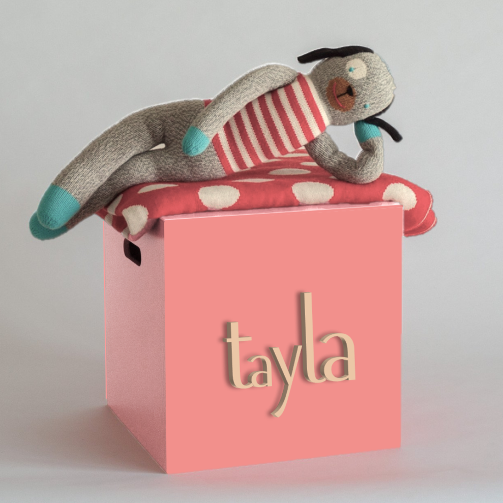 Salmon Toy Box