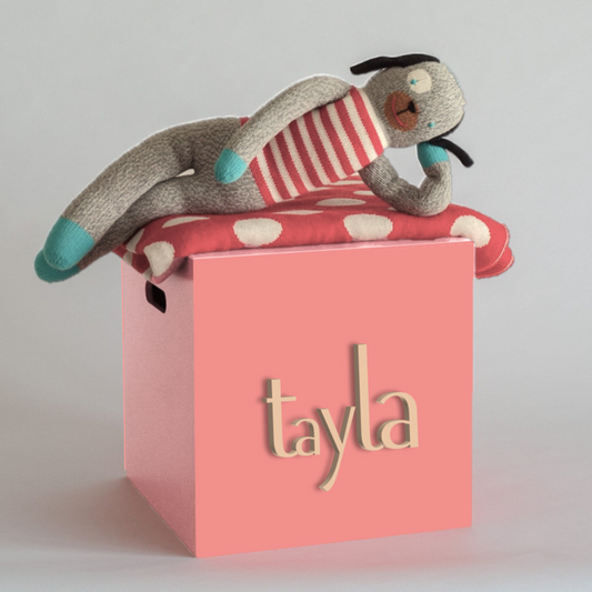 Salmon Toy Box